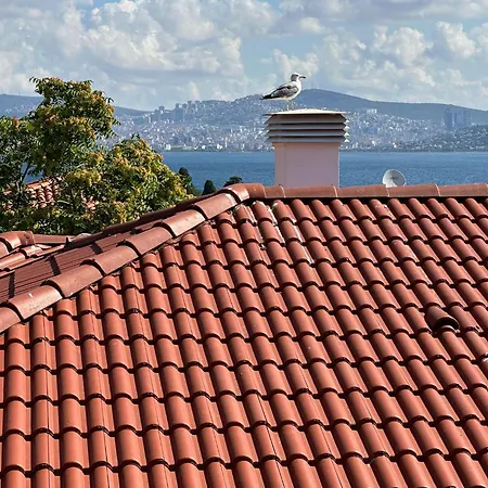 Mnimi Heybeli Apartman Adalar